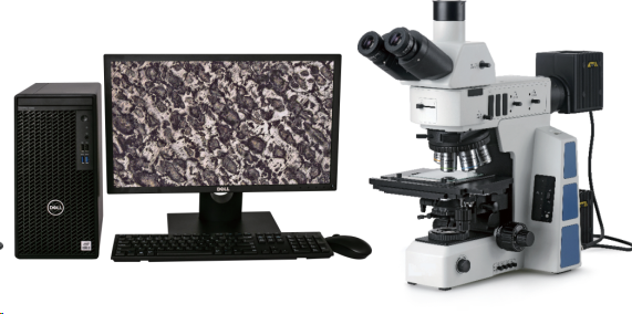 1685239477945580.png 图片3.png